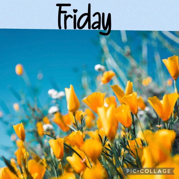 ⭐️FRIDAY SHARE GROUPS⭐️ - Picture 3 of 6